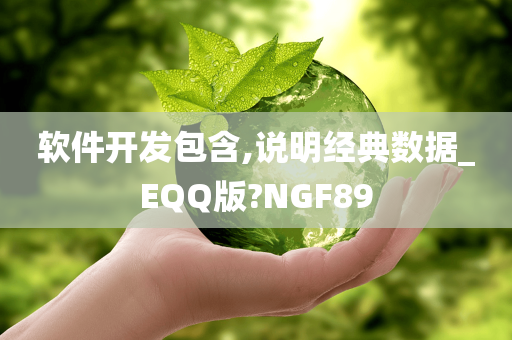 软件开发包含,说明经典数据_EQQ版?NGF89