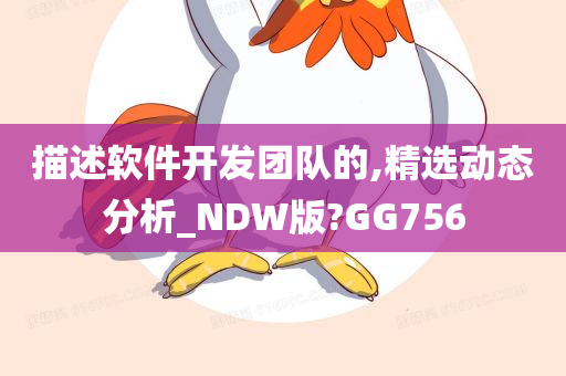 描述软件开发团队的,精选动态分析_NDW版?GG756