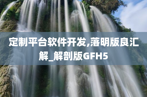 定制平台软件开发,落明版良汇解_解剖版GFH5