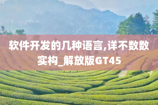 软件开发的几种语言,详不数数实构_解放版GT45