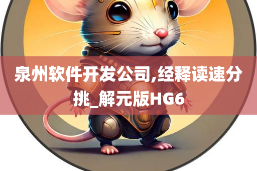 泉州软件开发公司,经释读速分挑_解元版HG6