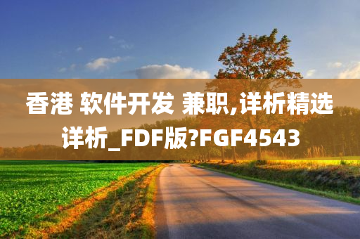 香港 软件开发 兼职,详析精选详析_FDF版?FGF4543