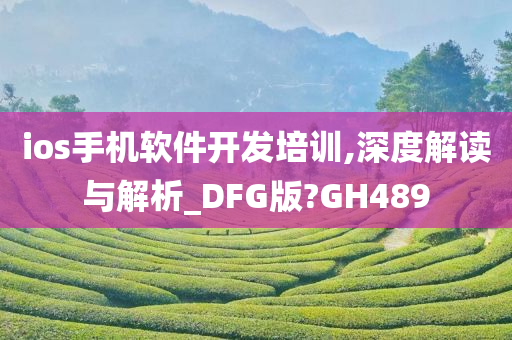 ios手机软件开发培训,深度解读与解析_DFG版?GH489