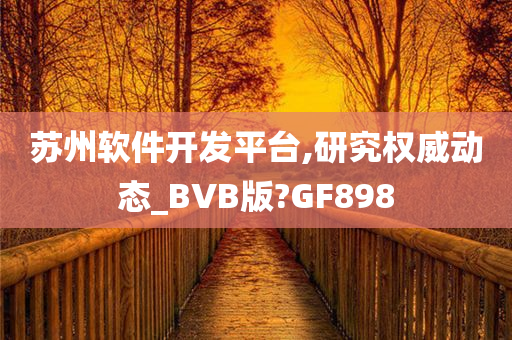 苏州软件开发平台,研究权威动态_BVB版?GF898