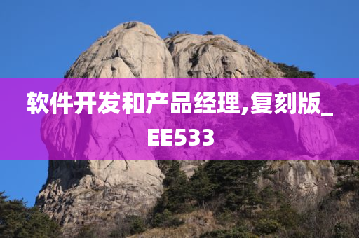 软件开发和产品经理,复刻版_EE533