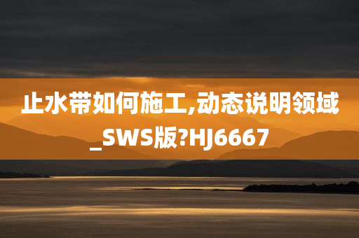 止水带如何施工,动态说明领域_SWS版?HJ6667