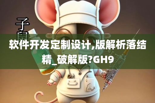 软件开发定制设计,版解析落结精_破解版?GH9