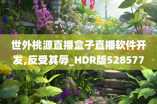 世外桃源直播盒子直播软件开发,反受其辱_HDR版528577