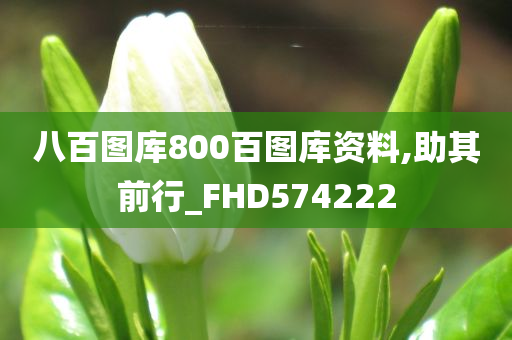 八百图库800百图库资料,助其前行_FHD574222