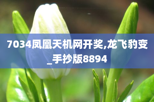 7034凤凰天机网开奖,龙飞豹变_手抄版8894