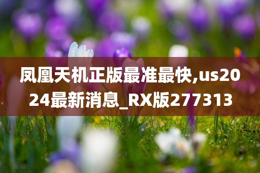 凤凰天机正版最准最快,us2024最新消息_RX版277313