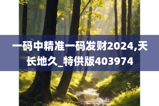 一码中精准一码发财2024,天长地久_特供版403974