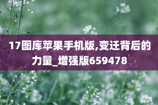 17图库苹果手机版,变迁背后的力量_增强版659478