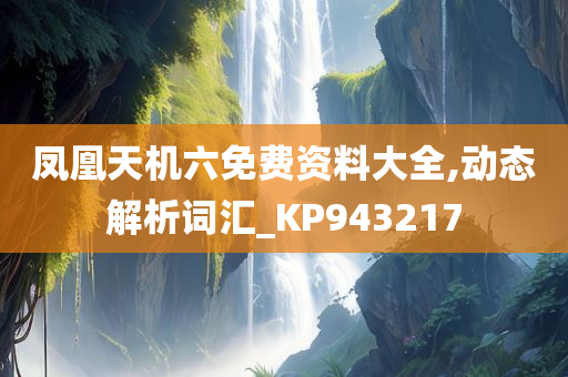 凤凰天机六免费资料大全,动态解析词汇_KP943217