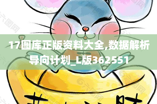 17图库正版资料大全,数据解析导向计划_L版362551