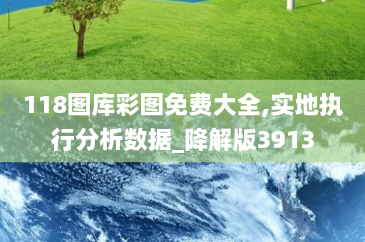 118图库彩图免费大全,实地执行分析数据_降解版3913