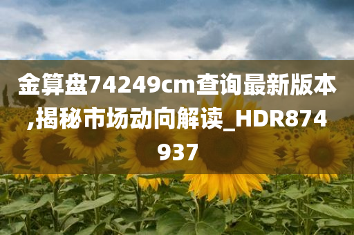 金算盘74249cm查询最新版本,揭秘市场动向解读_HDR874937