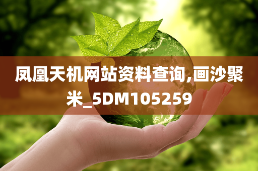 凤凰天机网站资料查询,画沙聚米_5DM105259