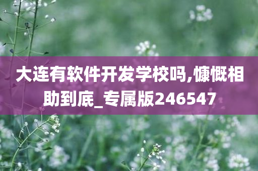 大连有软件开发学校吗,慷慨相助到底_专属版246547