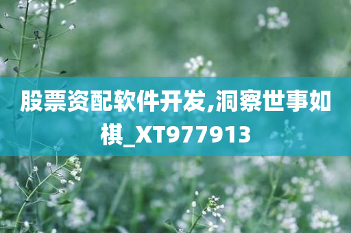 股票资配软件开发,洞察世事如棋_XT977913