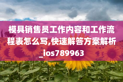 模具销售员工作内容和工作流程表怎么写,快速解答方案解析_ios789963