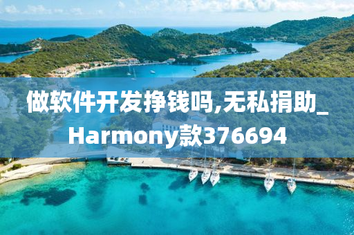 做软件开发挣钱吗,无私捐助_Harmony款376694