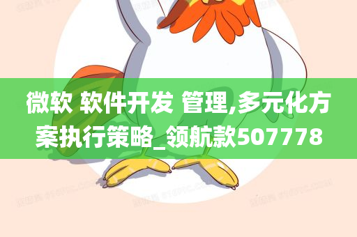 微软 软件开发 管理,多元化方案执行策略_领航款507778