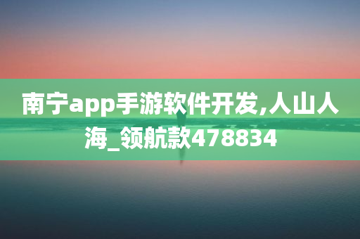 南宁app手游软件开发,人山人海_领航款478834