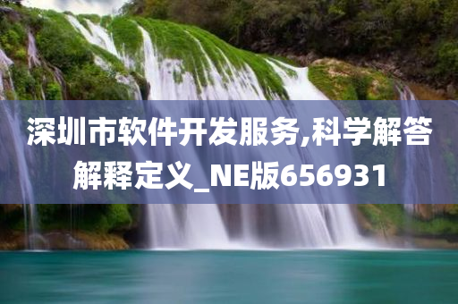 深圳市软件开发服务,科学解答解释定义_NE版656931