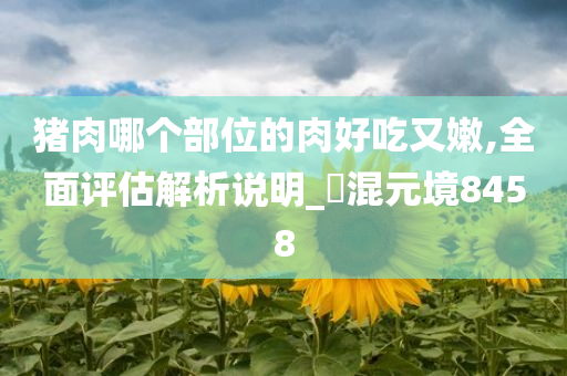 猪肉哪个部位的肉好吃又嫩,全面评估解析说明_‌混元境8458