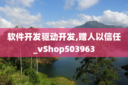 软件开发驱动开发,赠人以信任_vShop503963