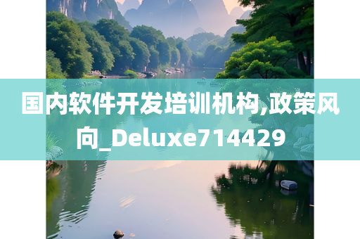 国内软件开发培训机构,政策风向_Deluxe714429