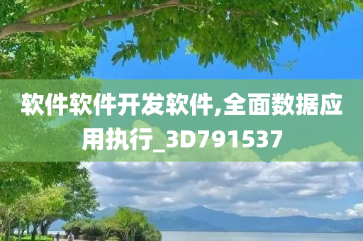 软件软件开发软件,全面数据应用执行_3D791537