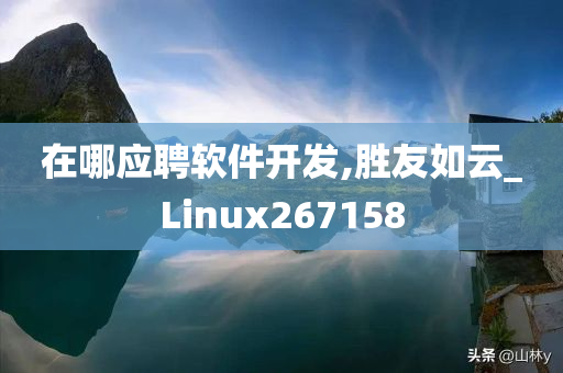 在哪应聘软件开发,胜友如云_Linux267158