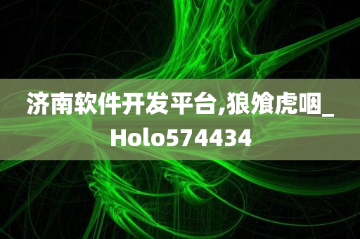 济南软件开发平台,狼飧虎咽_Holo574434