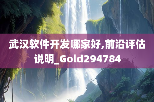 武汉软件开发哪家好,前沿评估说明_Gold294784