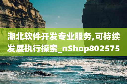 湖北软件开发专业服务,可持续发展执行探索_nShop802575