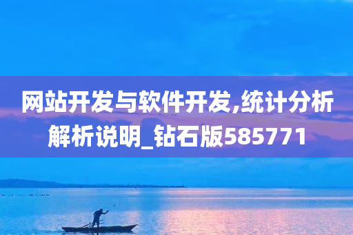 网站开发与软件开发,统计分析解析说明_钻石版585771