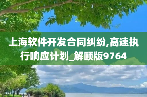 上海软件开发合同纠纷,高速执行响应计划_解颐版9764