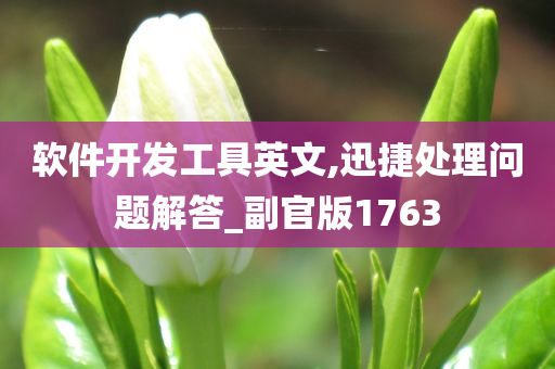 软件开发工具英文,迅捷处理问题解答_副官版1763