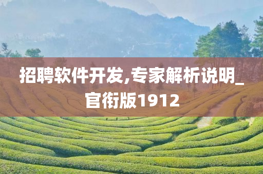 招聘软件开发,专家解析说明_官衔版1912