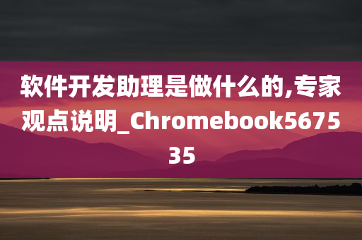 软件开发助理是做什么的,专家观点说明_Chromebook567535