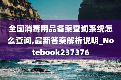 全国消毒用品备案查询系统怎么查询,最新答案解析说明_Notebook237376