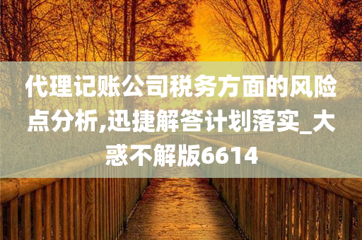 代理记账公司税务方面的风险点分析,迅捷解答计划落实_大惑不解版6614