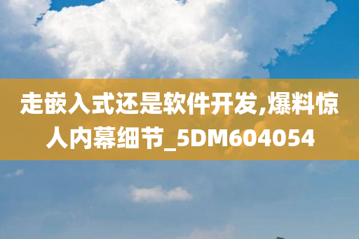 走嵌入式还是软件开发,爆料惊人内幕细节_5DM604054