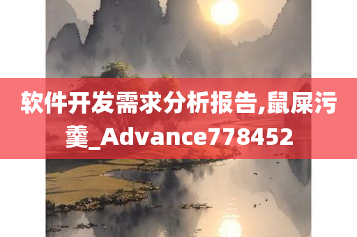 软件开发需求分析报告,鼠屎污羹_Advance778452