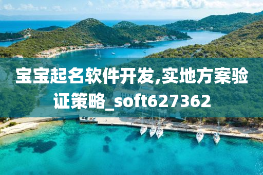 宝宝起名软件开发,实地方案验证策略_soft627362