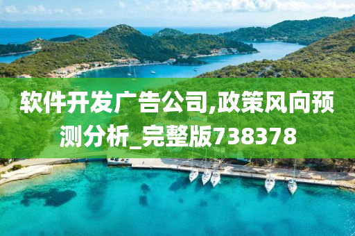 软件开发广告公司,政策风向预测分析_完整版738378