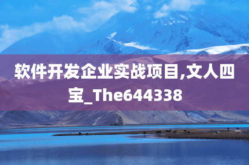 软件开发企业实战项目,文人四宝_The644338