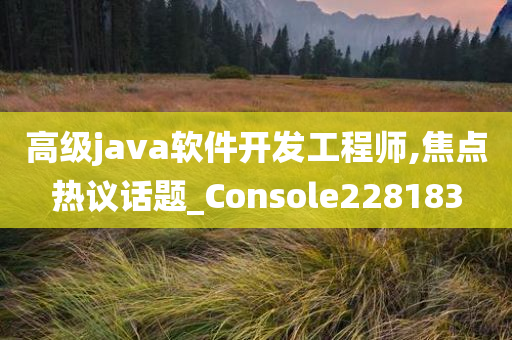 高级java软件开发工程师,焦点热议话题_Console228183